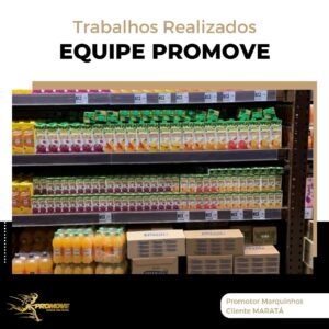 portfolio-grupo promove-mt