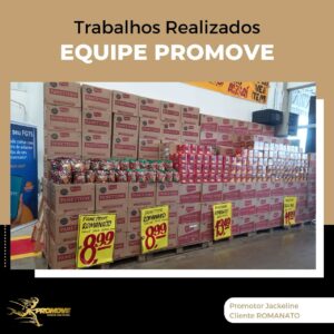 portfolio-grupo promove-mt