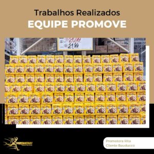 portfolio-grupo promove-mt