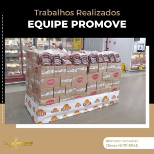 portfolio-grupo promove-mt