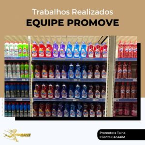 portfolio-grupo promove-mt