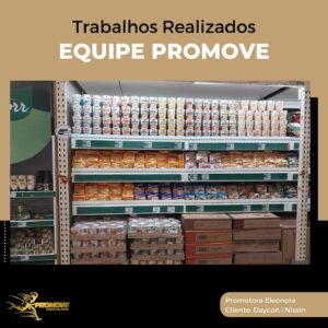 portfolio-grupo promove-mt