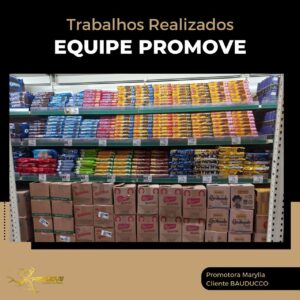 portfolio-grupo promove-mt