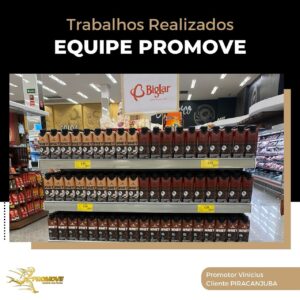 portfolio-grupo promove-mt