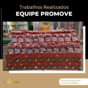 portfolio-grupo promove-mt